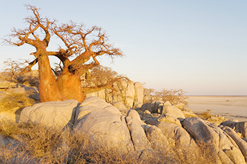 博茨瓦納奧拉帕三字代碼(ORP),奧拉帕(Orapa)四字碼,博茨瓦納機(jī)場三字碼查詢