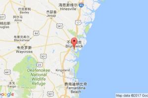 不倫瑞克港口查詢_brunswick,ga港口代碼_美國不倫瑞克港口代碼